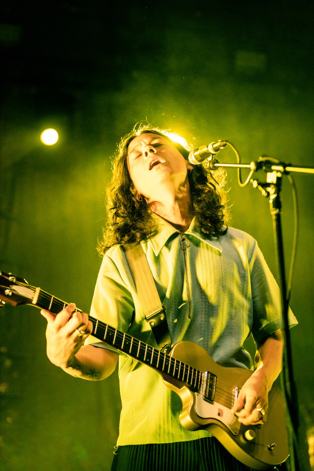 Los Dinos no estaban&nbsp;extintos.